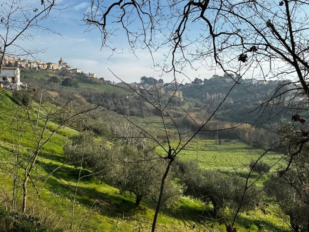 Terreno a Spoltore in Via Fonte Grande S.N.C. - Foto 4