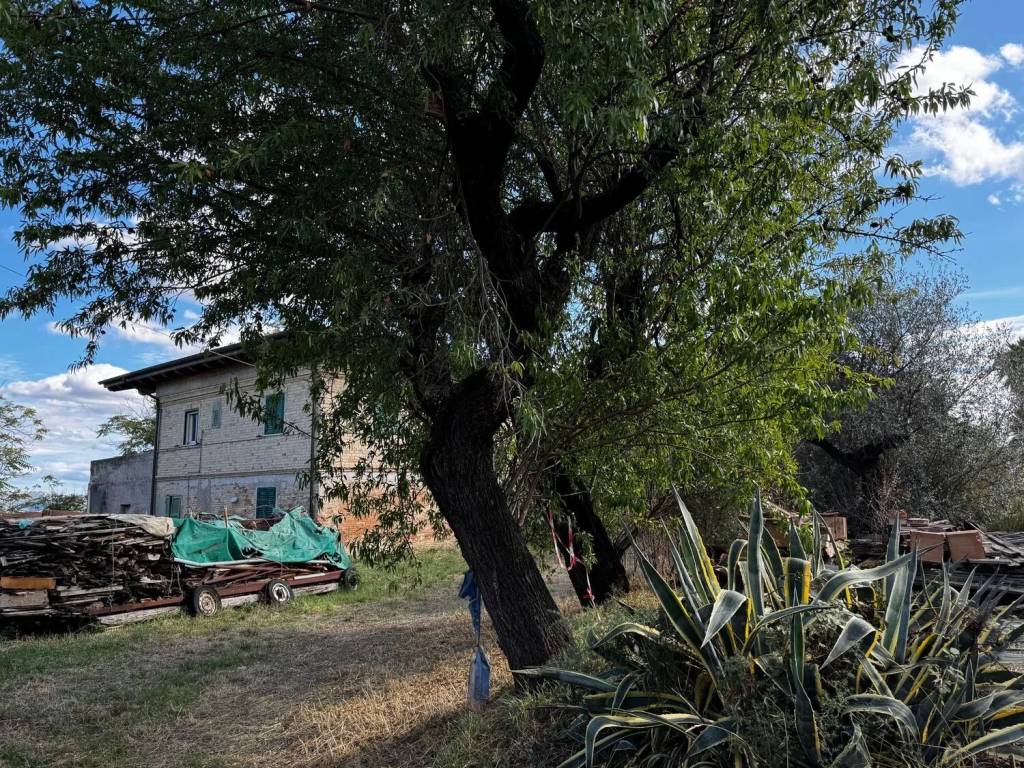 Rustico / casale a Pianella in Via San Maria A Lungo, 43 - Foto 2