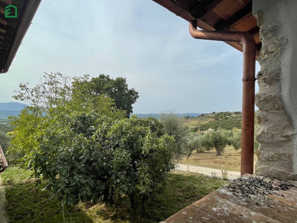 Rustico / casale a Amelia in Strada Porchiano Attigliano - Foto 3