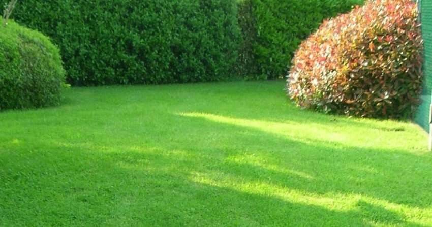 Terreno a Mirandola in Viale Gramsci , 347 - Foto 3