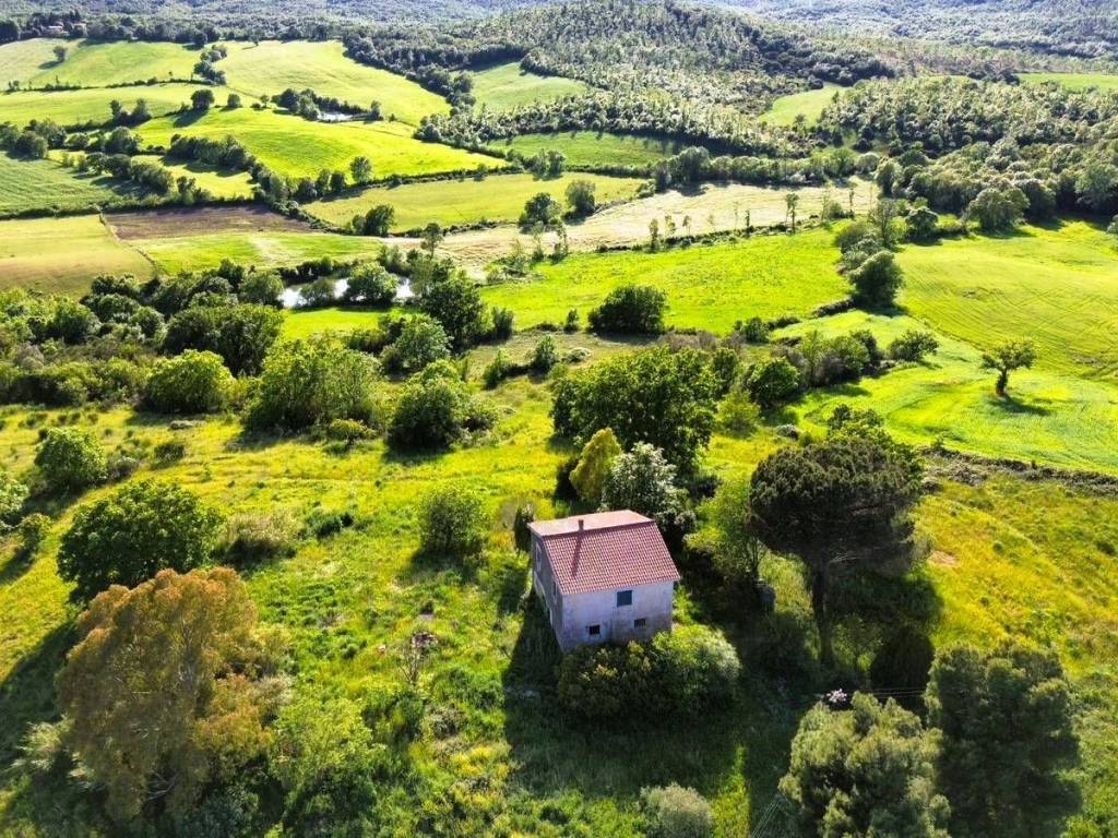 Rustico / casale a Capalbio in Vallerana - Foto 1