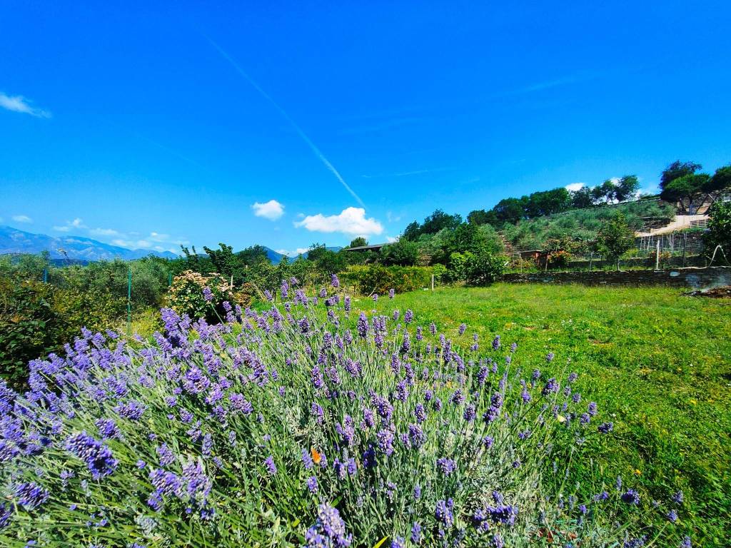 Villa a Dolceacqua in Regione Morghe - Foto 3