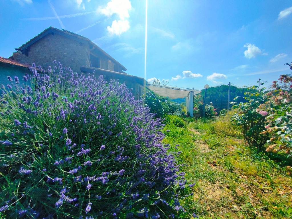 Villa a Dolceacqua in Regione Morghe - Foto 5
