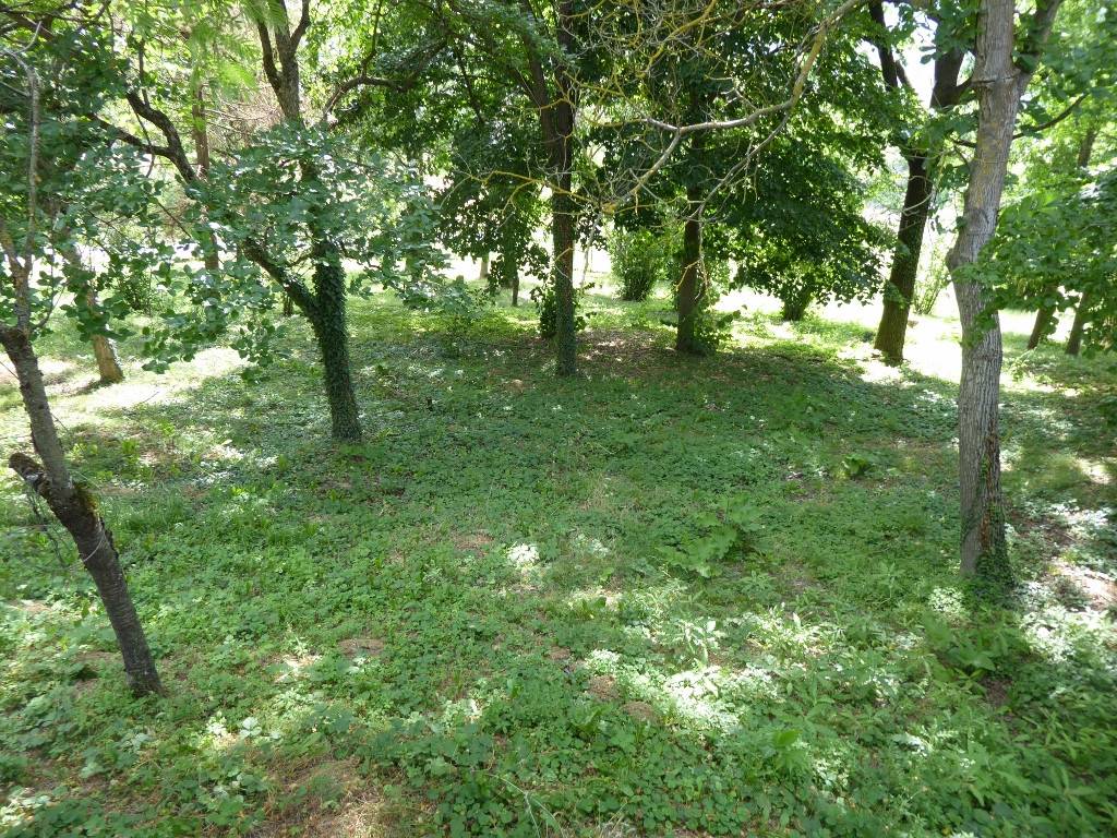 Rustico / casale a Acqui terme - Foto 2