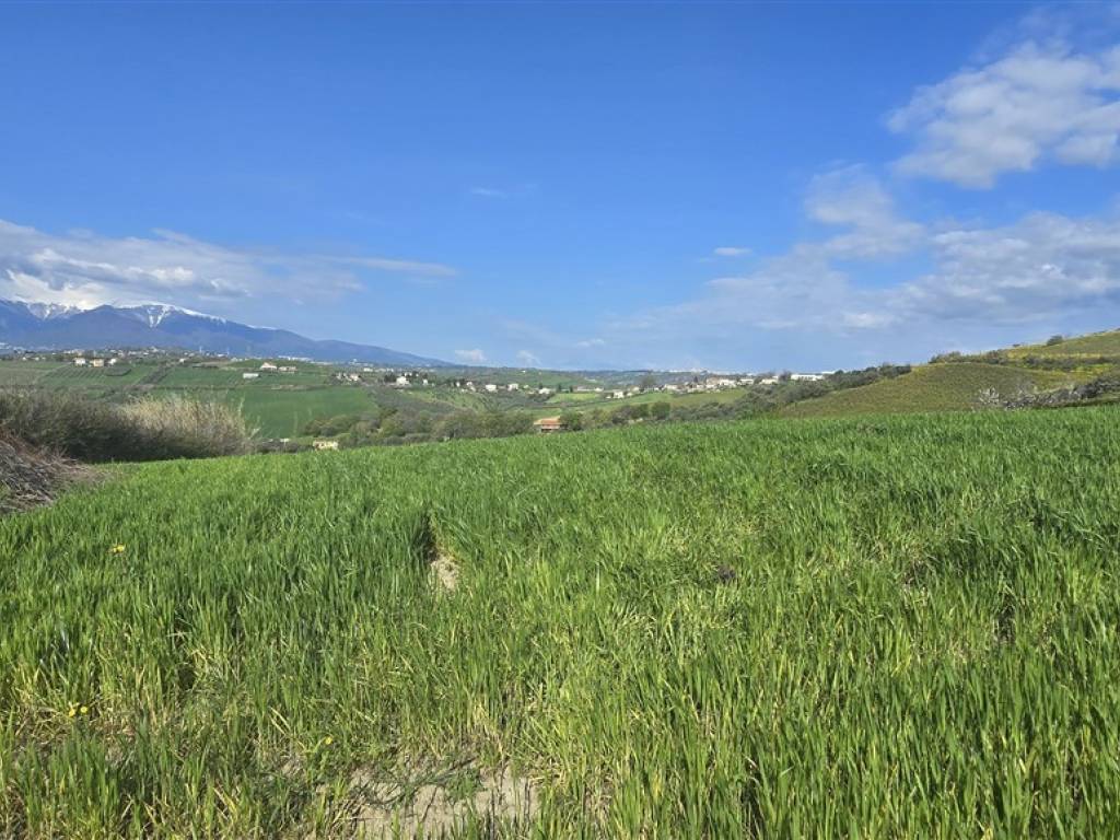 Terreno a Castel frentano in Via Clementi - Foto 2
