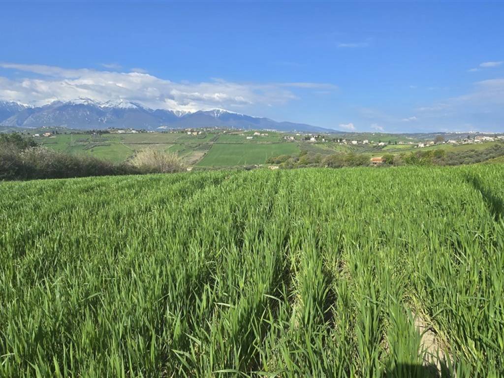 Terreno a Castel frentano in Via Clementi - Foto 4