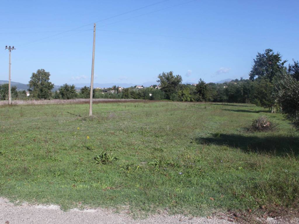 Terreno a Dugenta - Foto 3