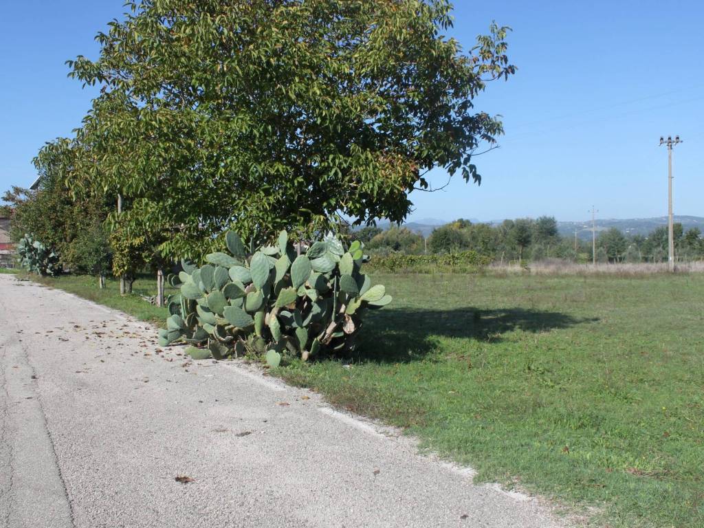 Terreno a Dugenta - Foto 4