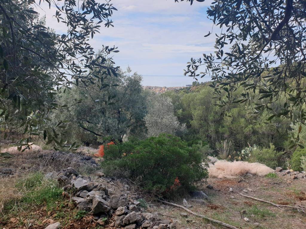 Terreno a Camerota in Via Monte di Luna - Foto 3