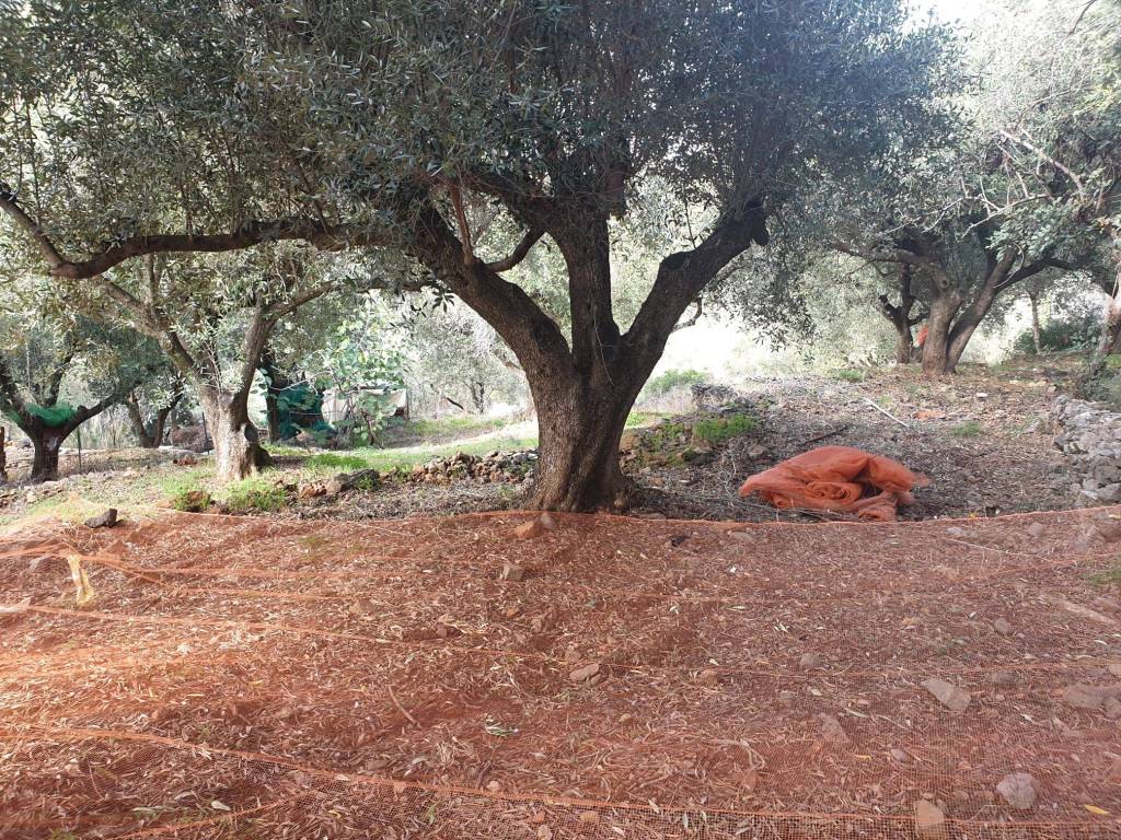 Terreno a Camerota in Via Monte di Luna - Foto 4