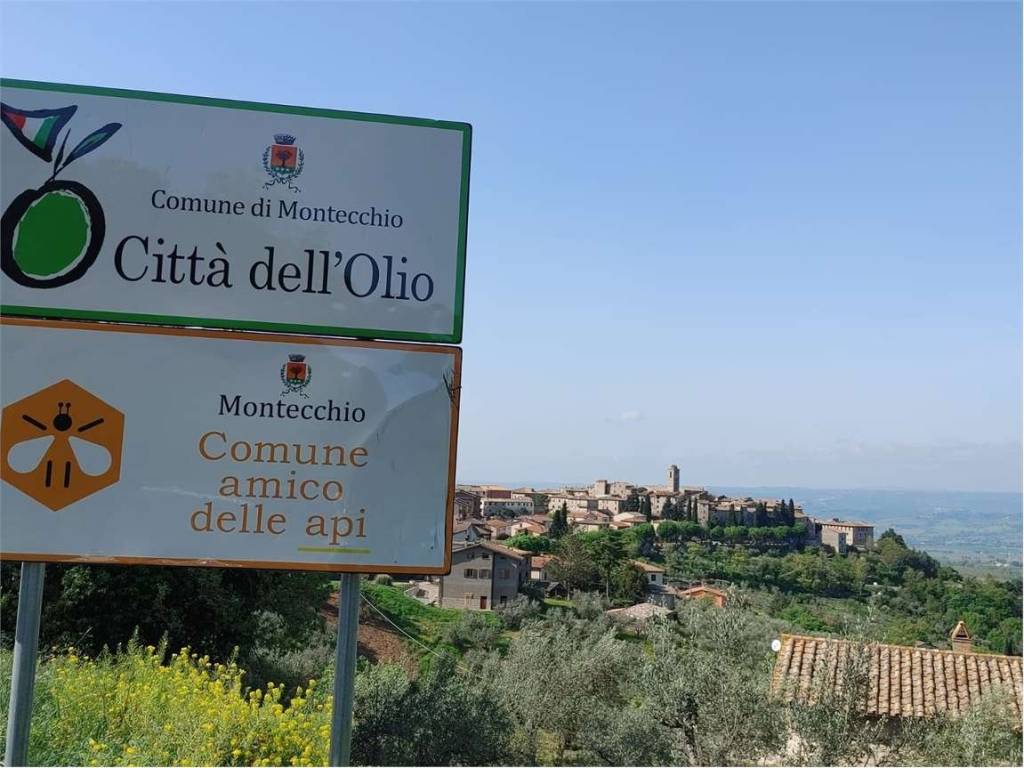 Appartamento a Montecchio - Foto 2