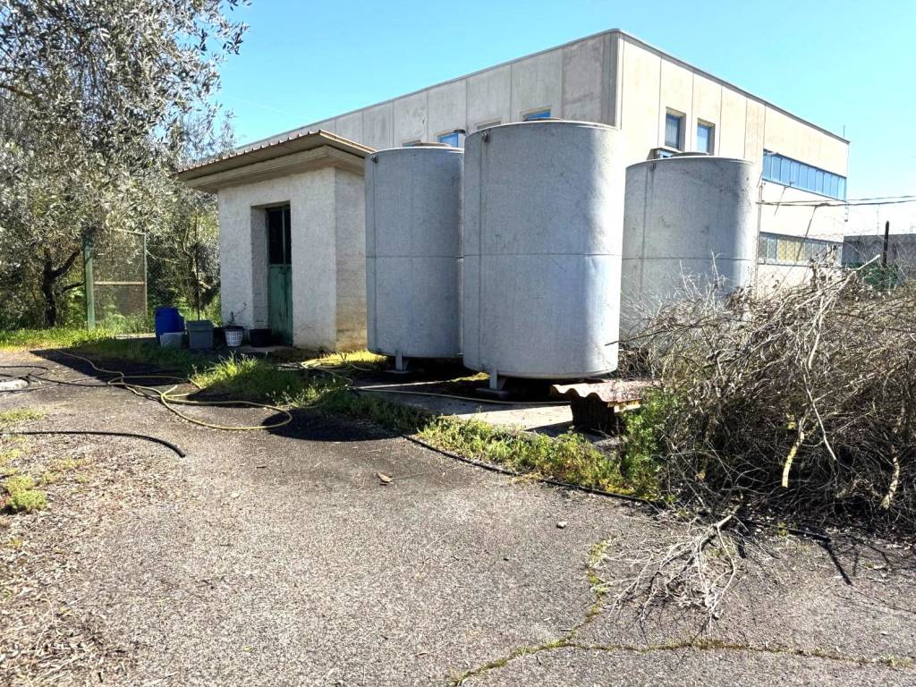 Immobile a Patrica in Strada Provinciale Morolense - Foto 3