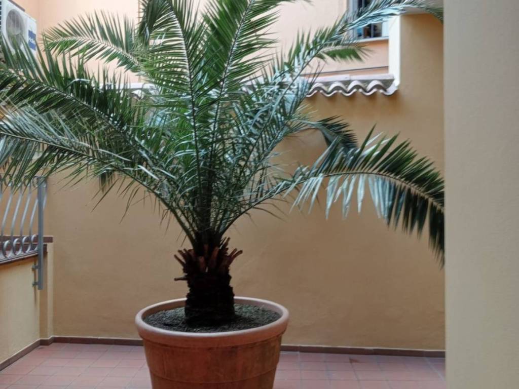 Appartamento a Teramo in Via Cesare Battisti S.N.C. - Foto 2