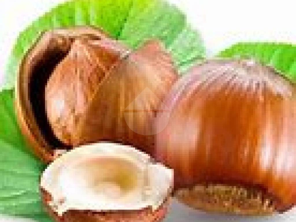 Terreno a Corchiano in Strada Consortile Liano - Foto 2