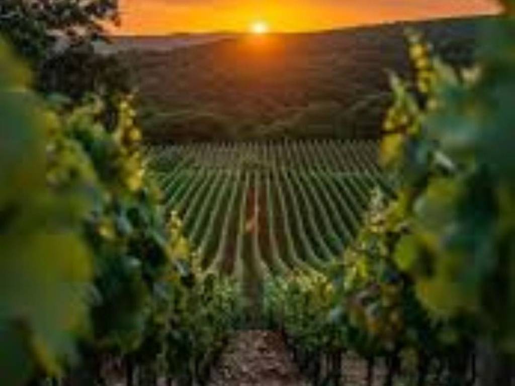 Terreno a Corchiano in Strada Consortile Liano - Foto 4