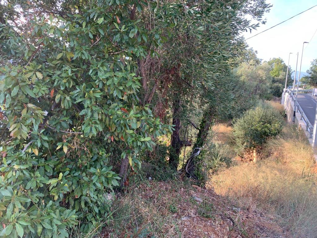 Terreno a Camporosso in Via Turistica - Foto 3