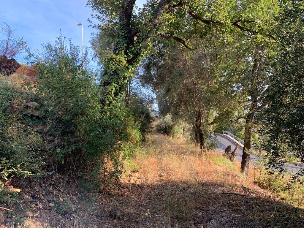 Terreno a Camporosso in Via Turistica - Foto 5