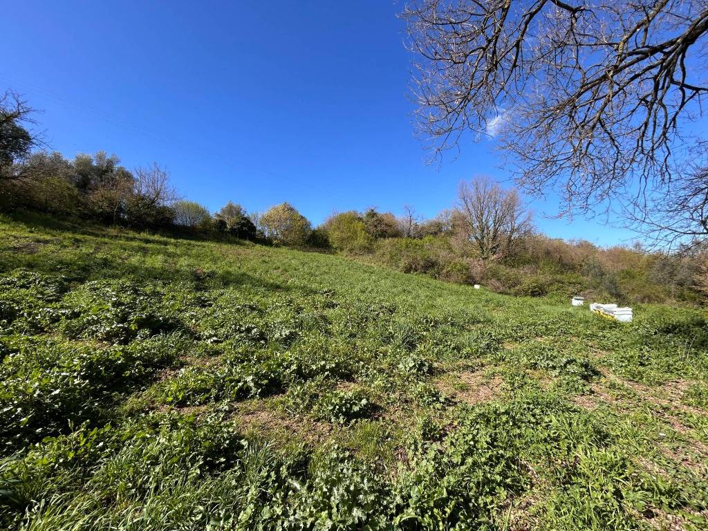Terreno a Vetralla in Via Blera - Foto 5