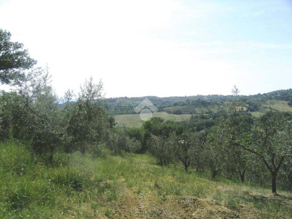 Terreno a Poggio catino in Via San Mauro - Foto 3