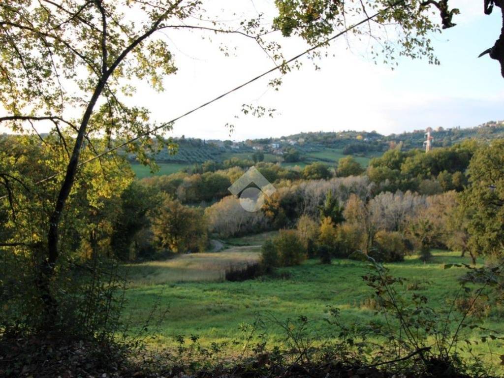 Terreno a Poggio catino in Via San Mauro - Foto 4