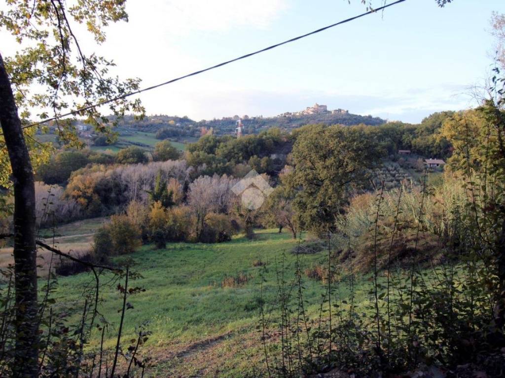 Terreno a Poggio catino in Via San Mauro - Foto 5