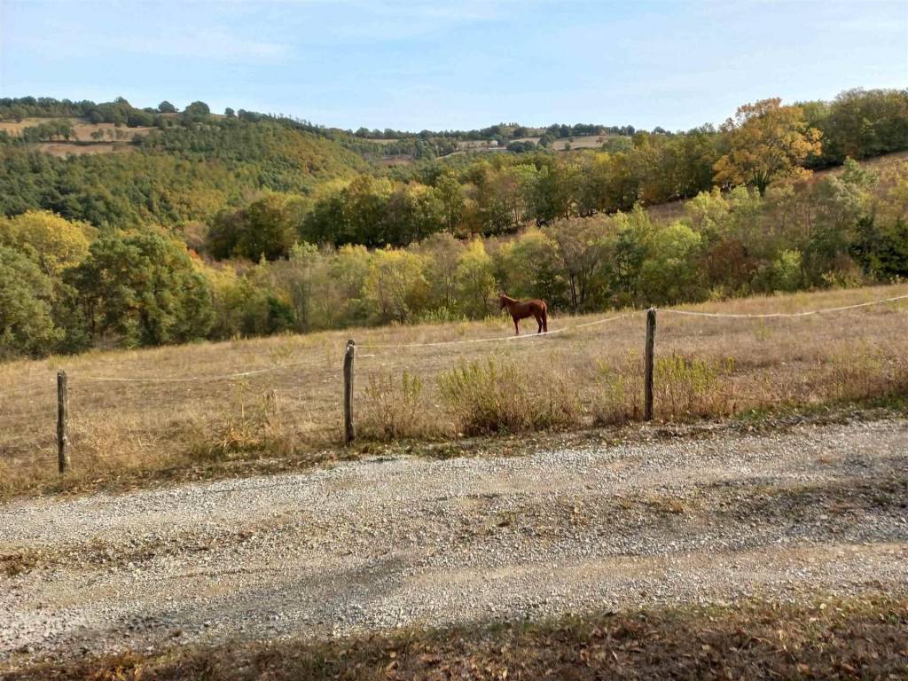 Immobile a Roccalbegna - Foto 3