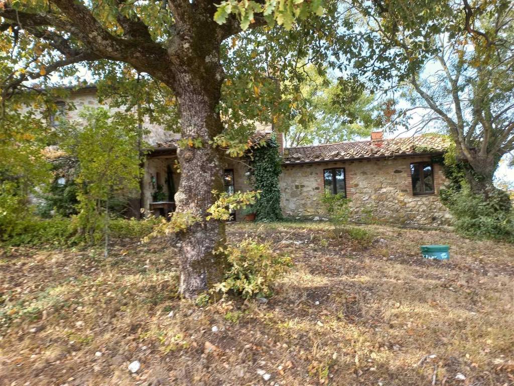 Immobile a Roccalbegna - Foto 4