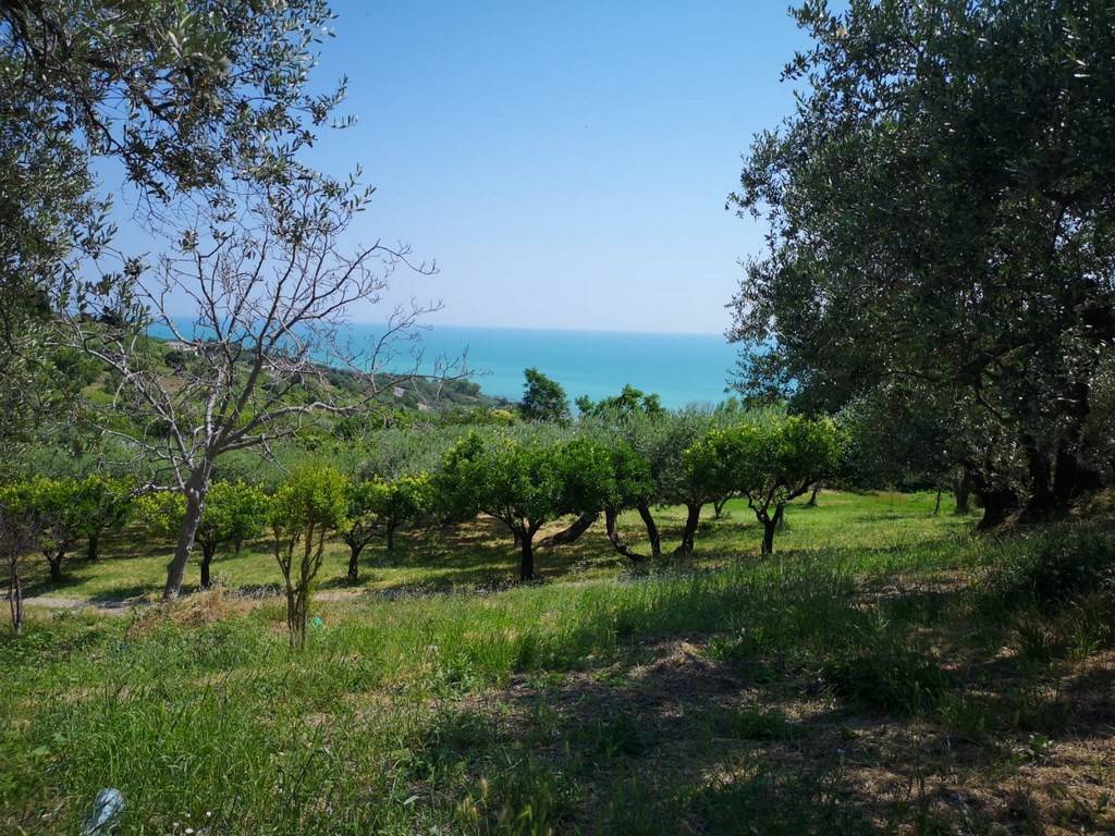 Terreno a Vasto in Via Istonia - Foto 4