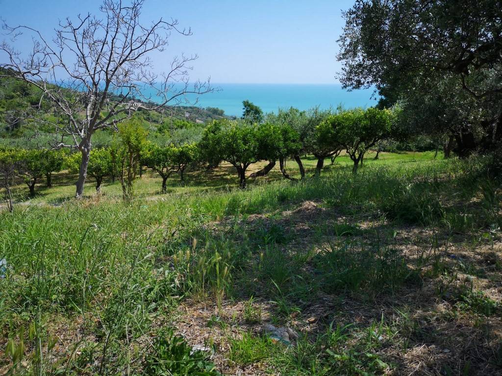 Terreno a Vasto in Via Istonia - Foto 5