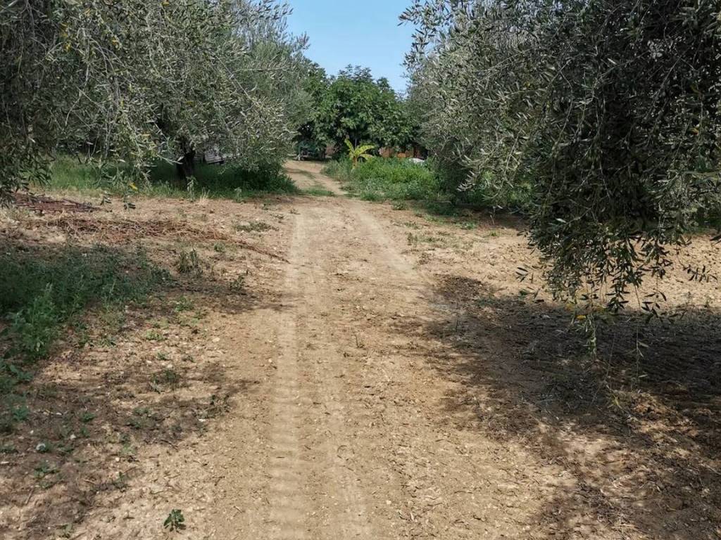 Villa a Città sant'angelo - Foto 4