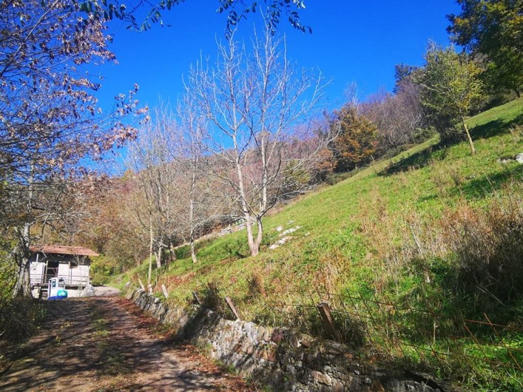 Rustico / casale a Cene - Foto 3