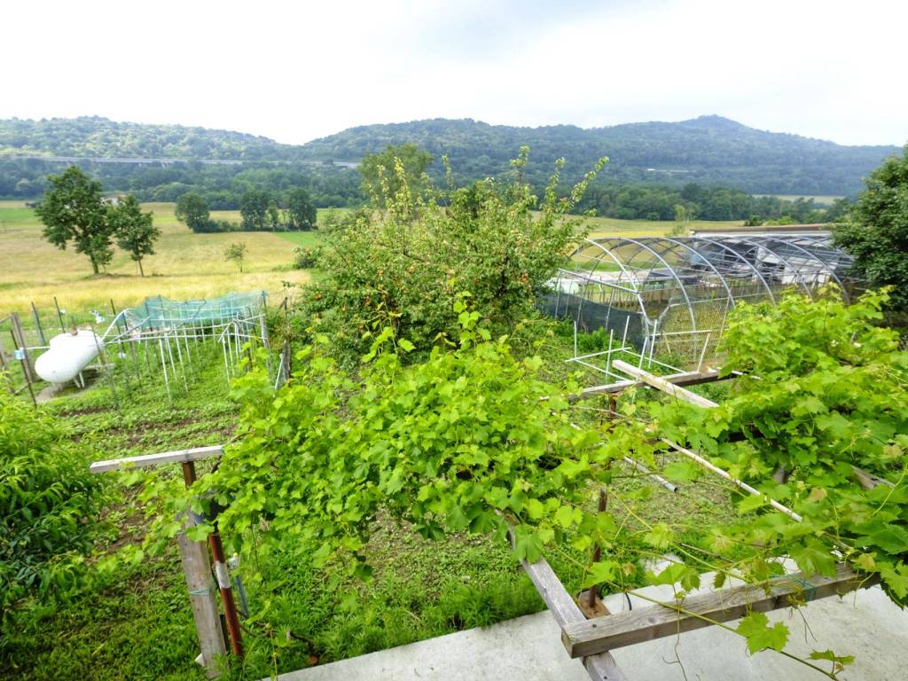 Casa indipendente a Viverone in Frazione Veneria Superiore, 49 - Foto 5