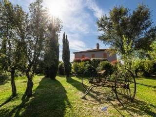 Rustico / casale a Magliano in toscana - Foto 3