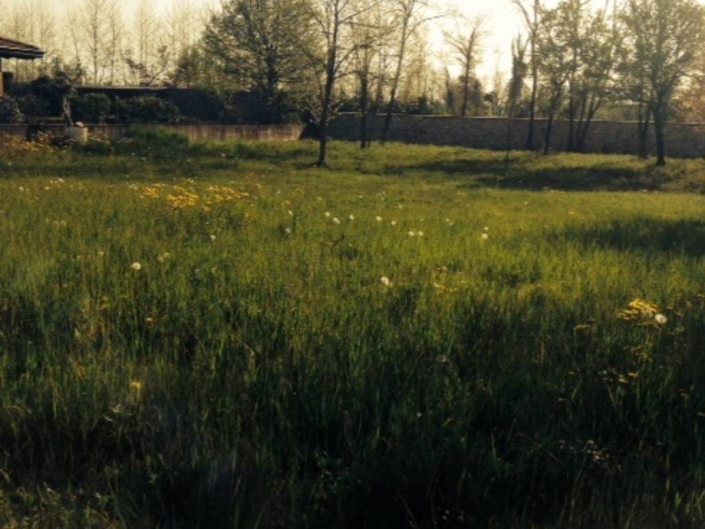 Terreno a San quirino in Via Cellina - Foto 2