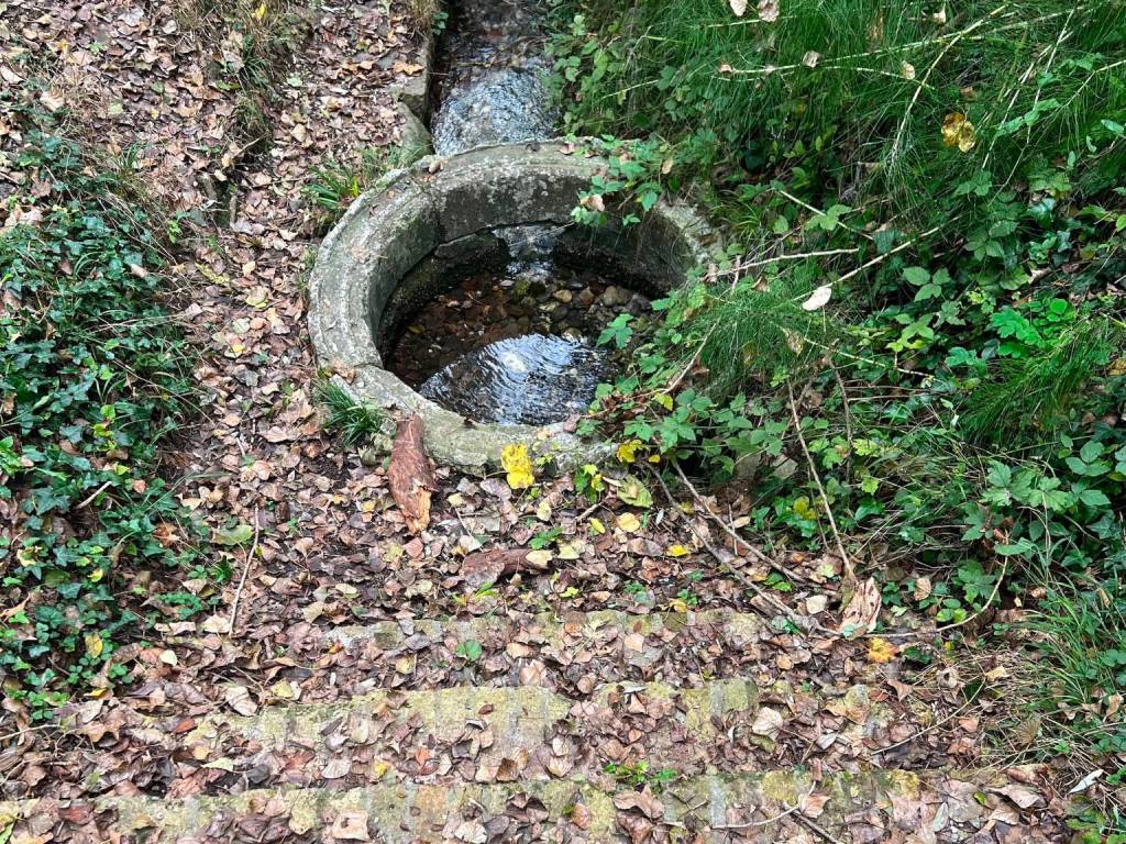 Rustico / casale a Gruaro in Via Stalis, 1 - Foto 5