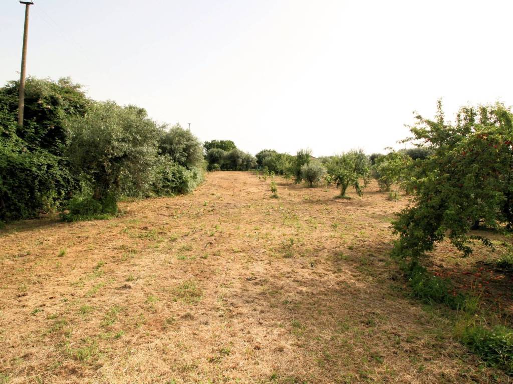 Rustico / casale a Pietrasanta - Foto 5