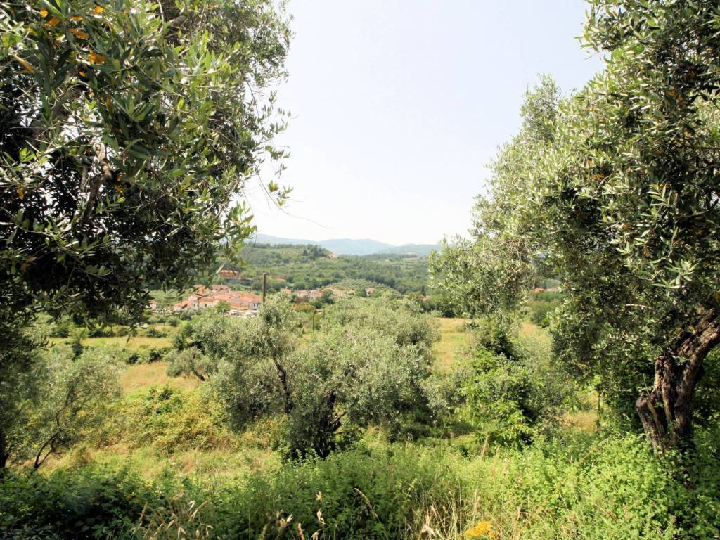 Rustico / casale a Pistoia in valdibrana - Foto 2