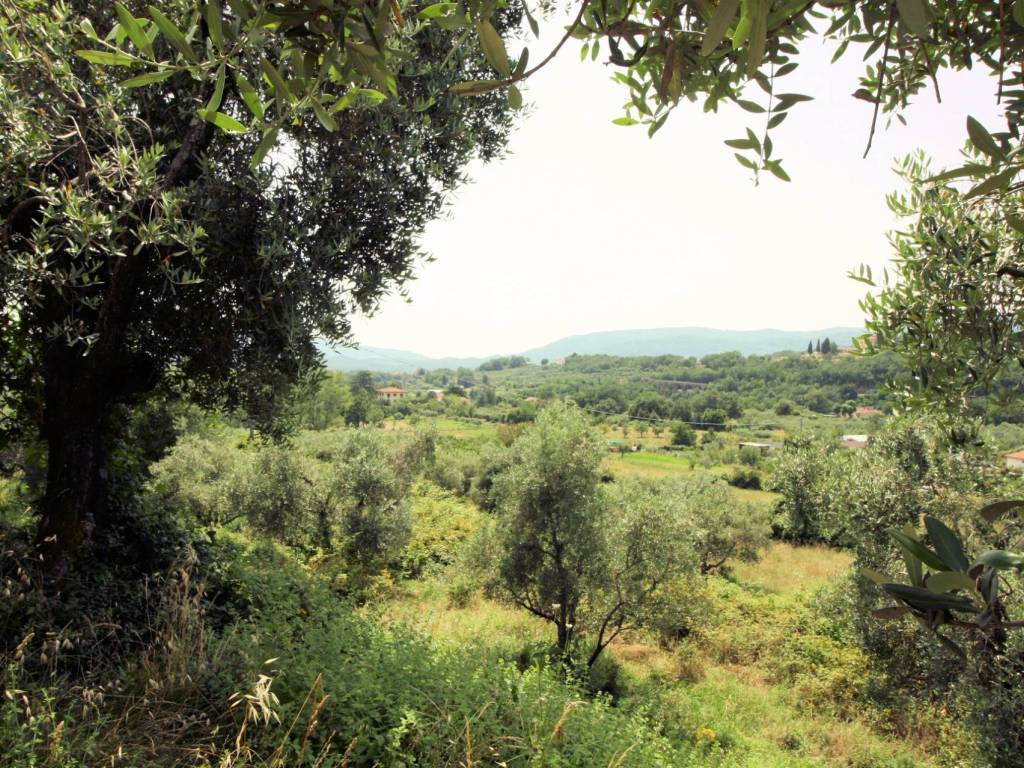 Rustico / casale a Pistoia in valdibrana - Foto 4
