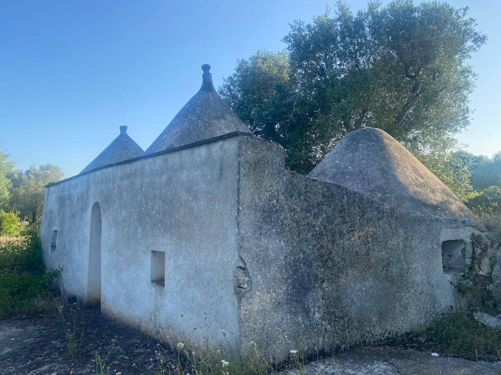 Rustico / casale a Ceglie messapica in contrada Circiello - Foto 3