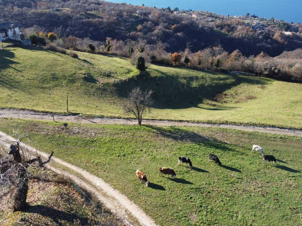 Appartamento a San zeno di montagna in Contrada Pra' Bestema' - Foto 4