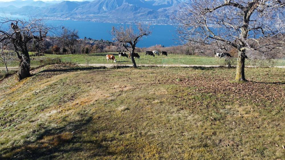 Appartamento a San zeno di montagna in Contrada Pra' Bestema' - Foto 5