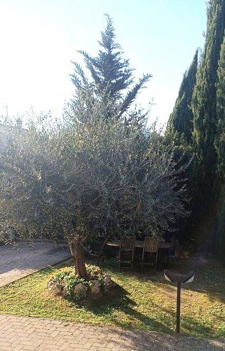 Appartamento a Carmignano - Foto 2