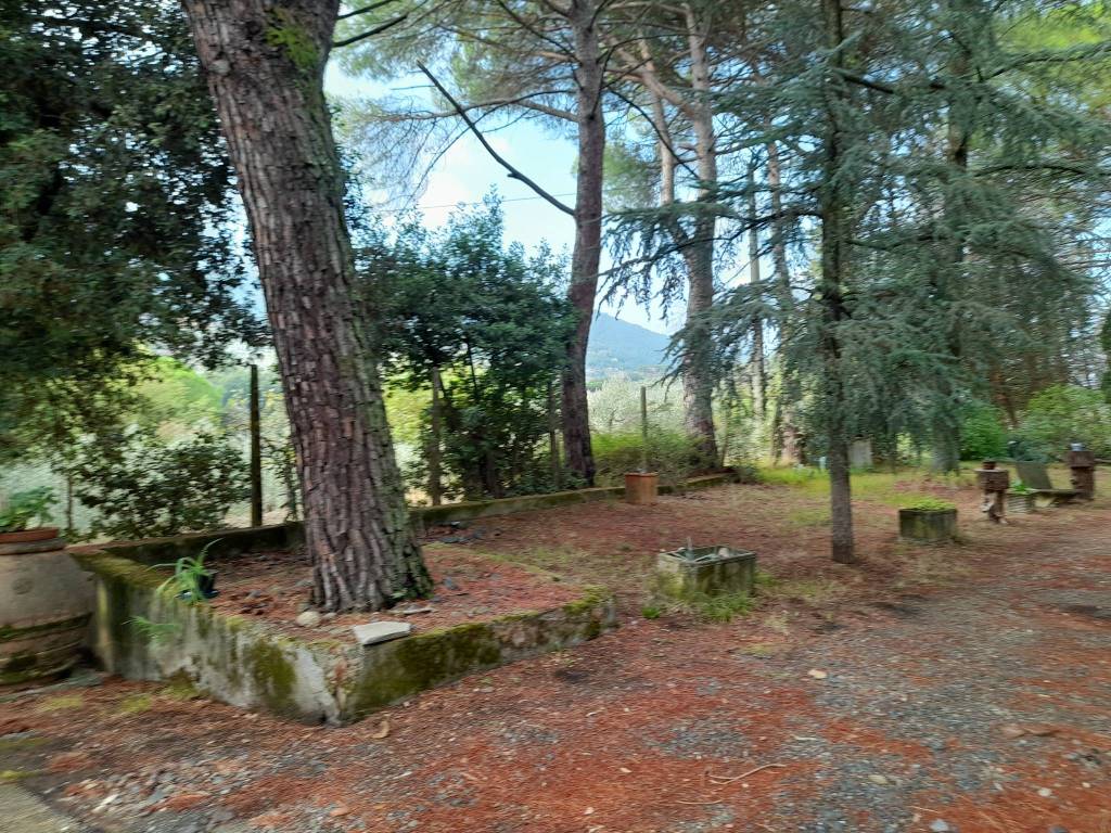 Villa a Quarrata - Foto 3