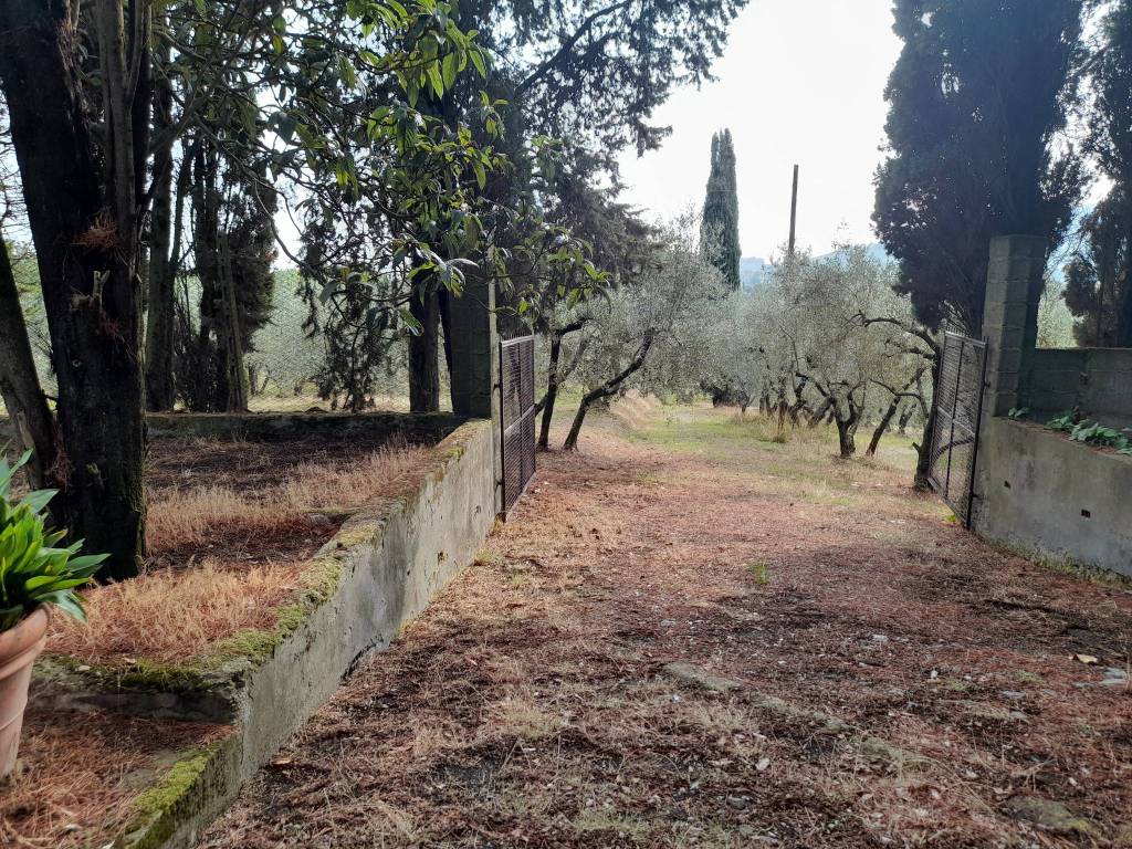 Villa a Quarrata - Foto 4