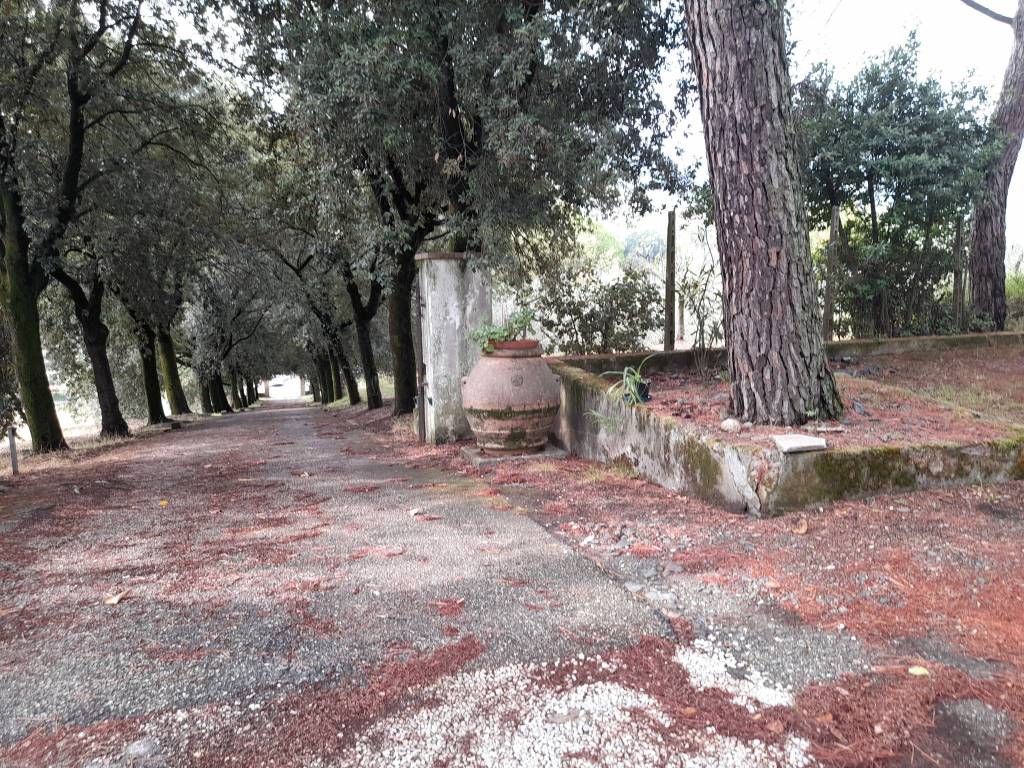 Villa a Quarrata - Foto 5