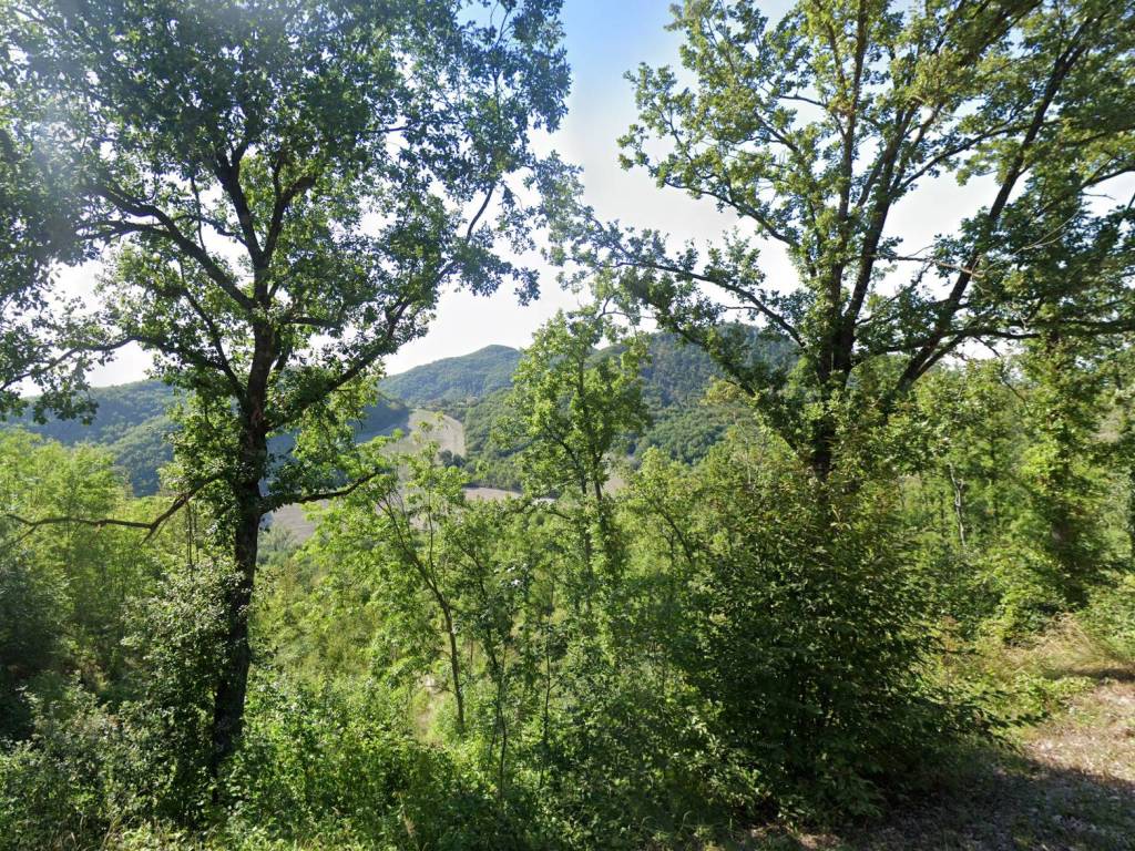 Terreno a Urbino in Via Nazionale di Bocca Trabaria, 73 - Foto 2