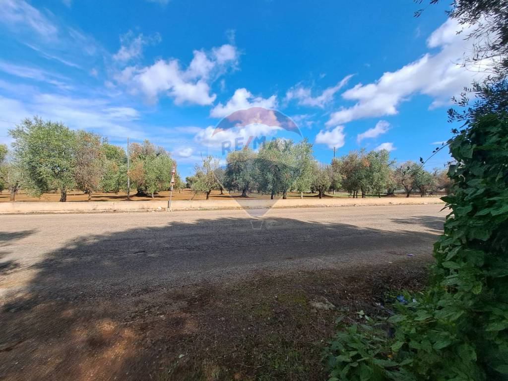Rustico / casale a San michele salentino - Foto 3