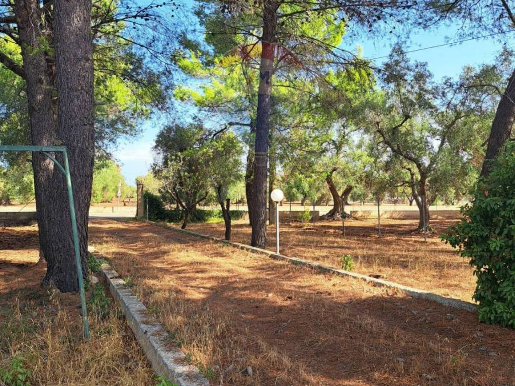 Rustico / casale a San michele salentino - Foto 5