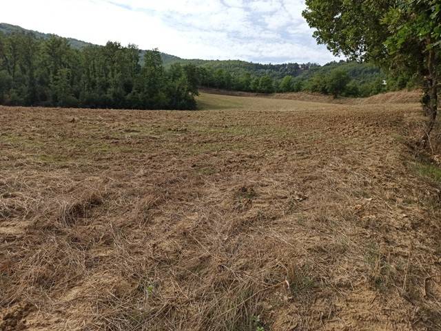 Rustico / casale a Panicale - Foto 5