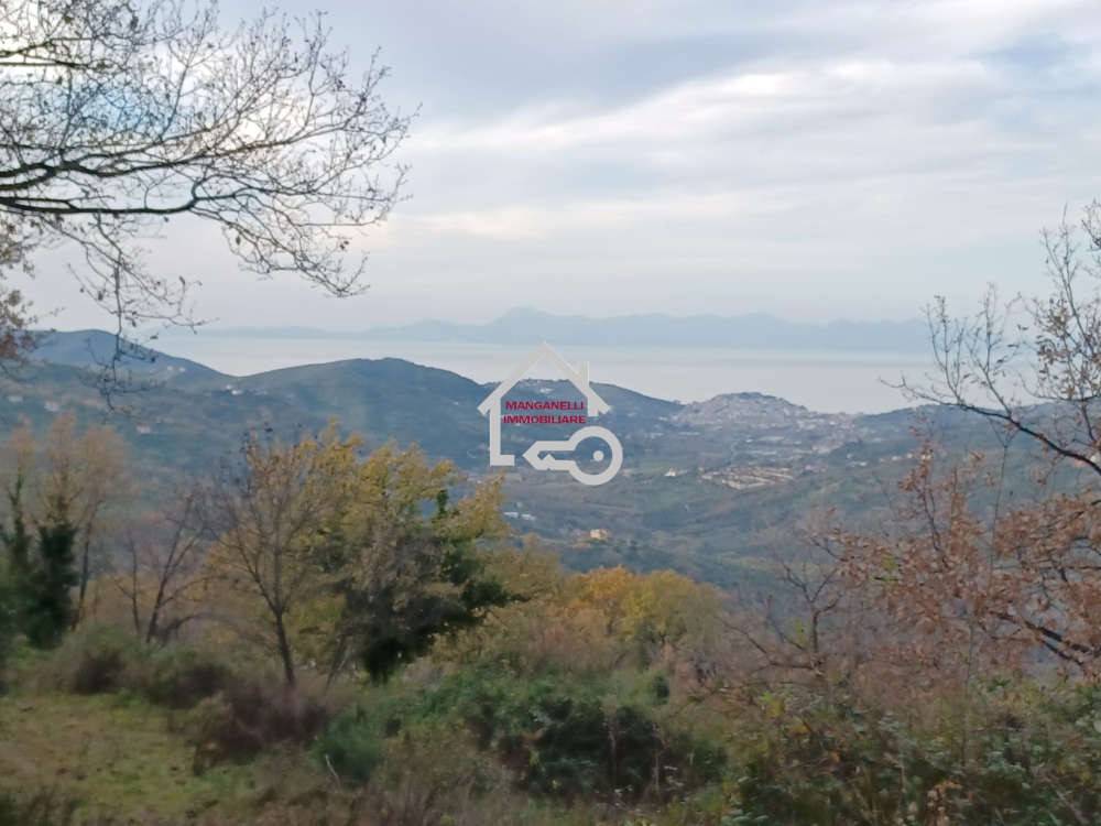 Terreno a Laureana cilento in Via Benedetto Croce - Foto 4